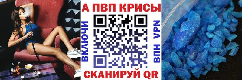 A PVP СК  Куровское 